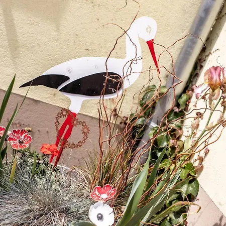 Le Coeur D'alsace * Boofzheim