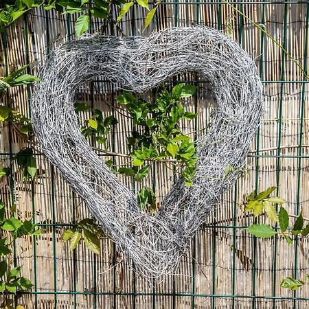 Le Coeur D'alsace 펜션