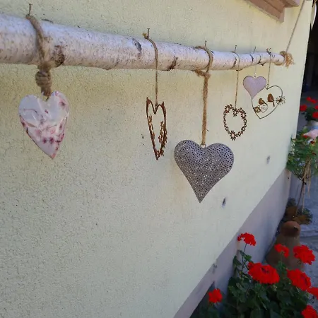 Le Coeur D'alsace Ferienhaus *