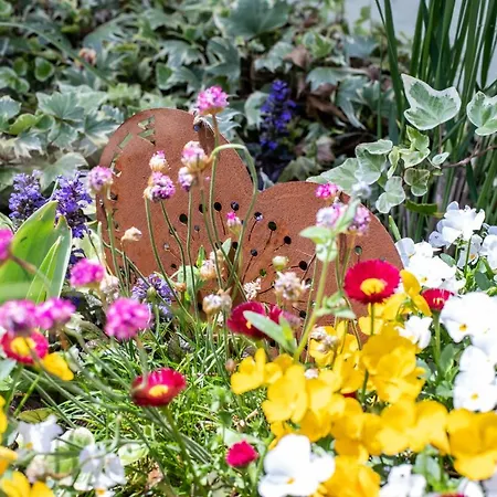 Le Coeur D'alsace Boofzheim